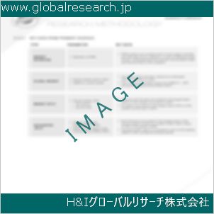 グローバルリサーチ調査資料のイメージ